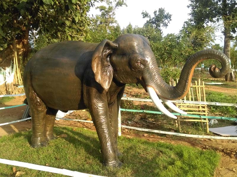 ELEPHANT FAMILY